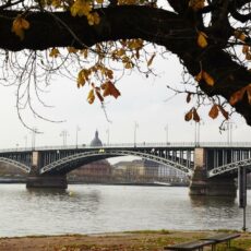 Mainz loves Wiesbaden: Von Ufer zu Ufer