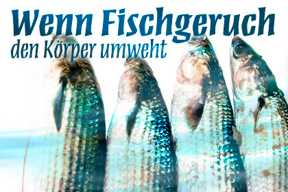 „Fischgeruch“-Syndrom über Mainz? - sensor Magazin - Mainz