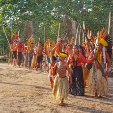 Die Hüter des Regenwaldes: Mainzer setzt sich für indigene Stämme ein