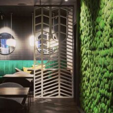 Kulinarisches und Künste: Zum grünen Kakadu & die Kakadu Bar in Mainz