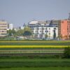Blick von Drais auf Mainz - Angedachte Fläche für Biotechnologie und Life Sciences - Foto: Harald Kaster / VRM Bild