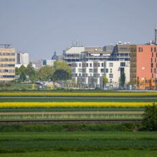 Der Ausbau des Biotechnologie-Standorts Mainz und seine Folgen