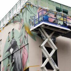 Mainz wird bunt: Graffitis / Sprayer und Mainzer Kollektive